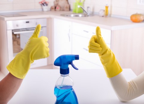 Professional carpets cleaner in Bromley cleaning a living room carpet