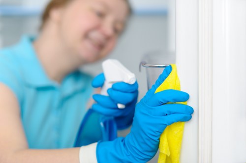 Local Bromley Carpetcleaning service showcasing clean carpets and careful workmanship