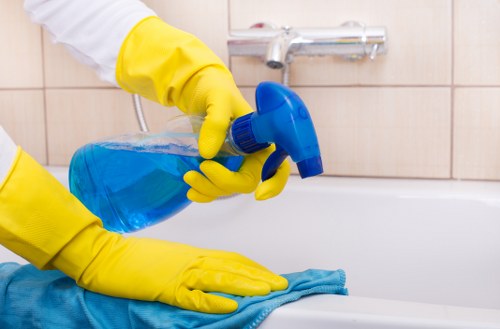 Professional carpet cleaning tools and products ready for use