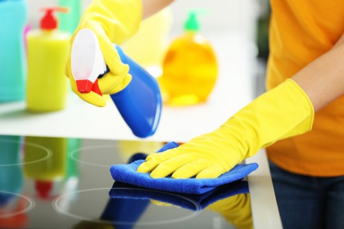Local Bromley cleaners providing dependable domestic and commercial cleaning